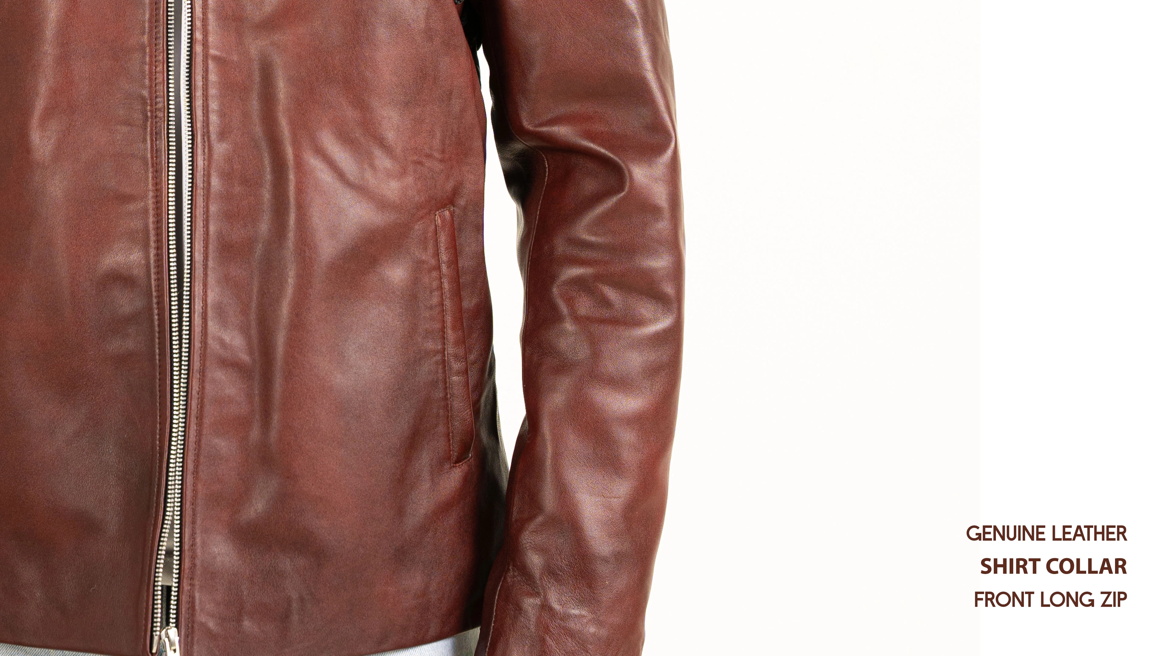 Back view of 