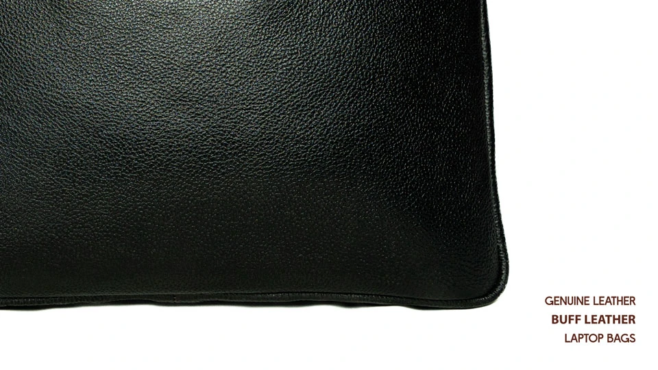 Back view of 