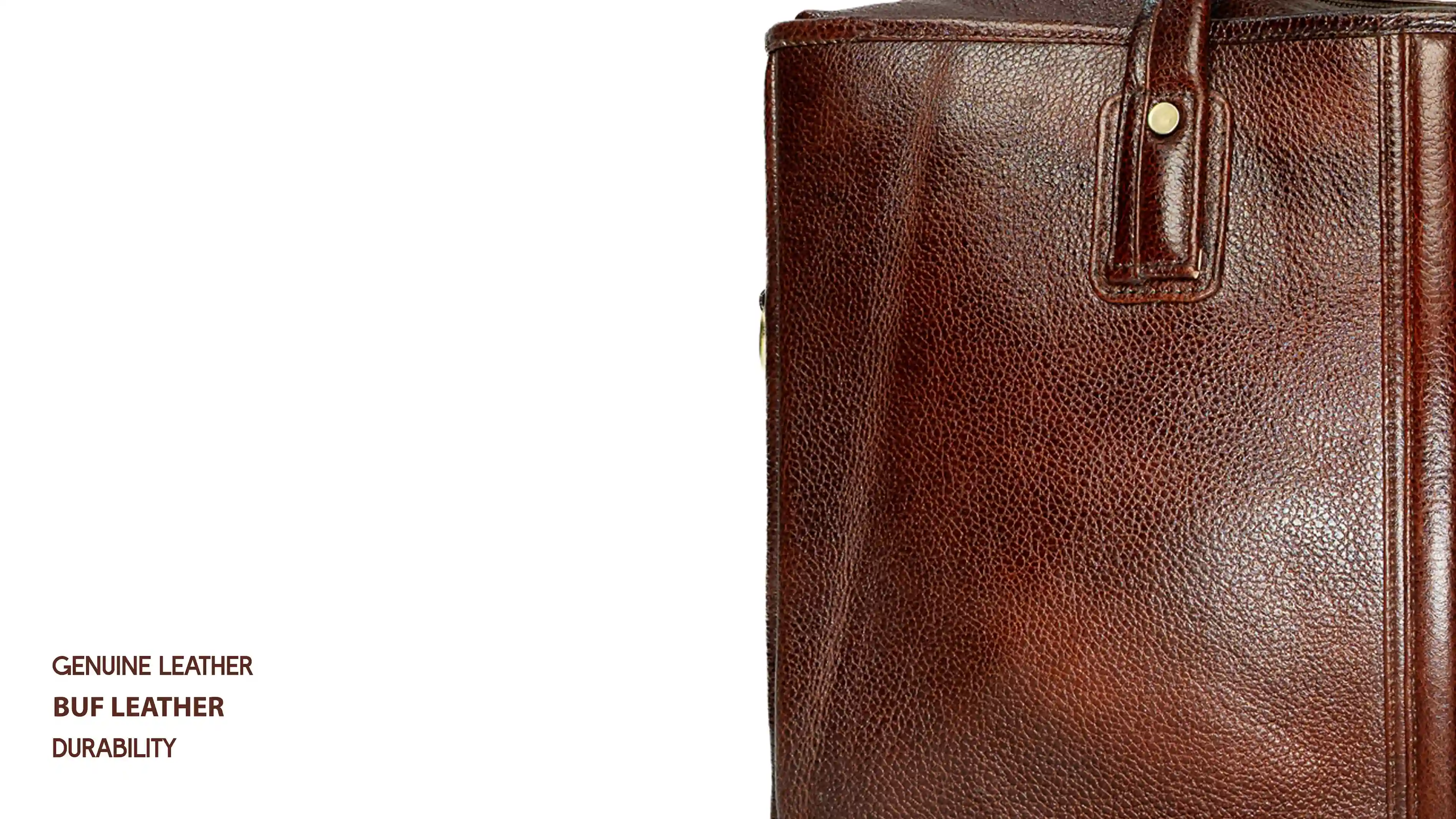 Back view of 