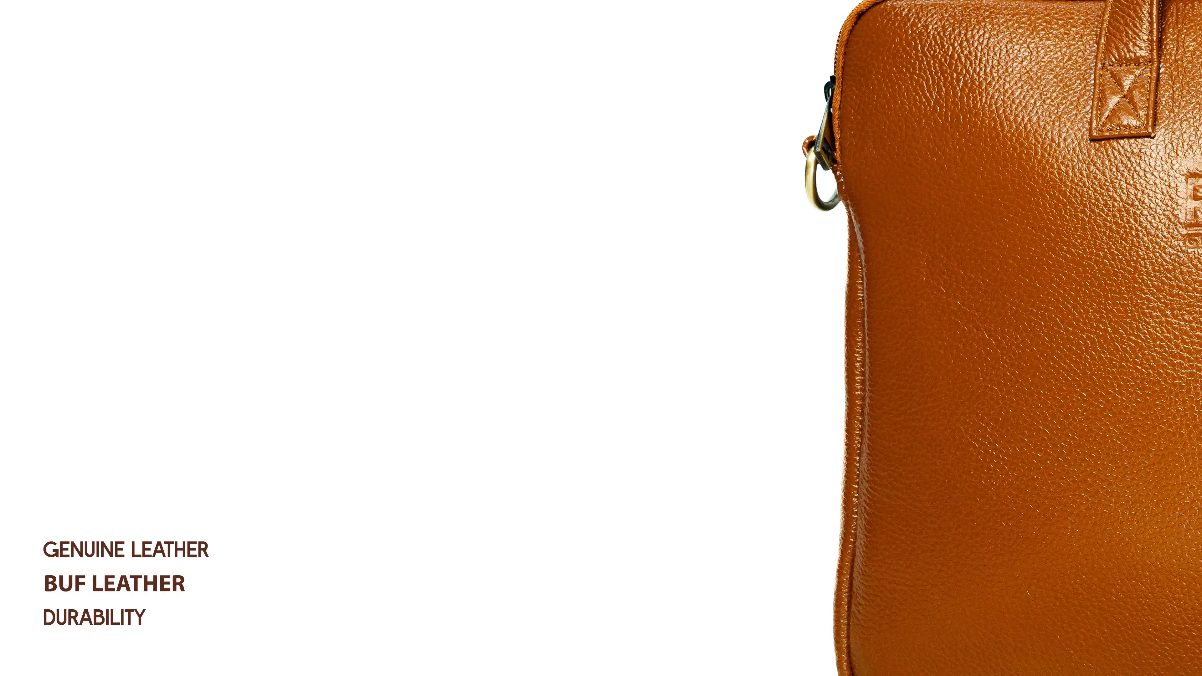Back view of 